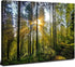 Forest Wall Art Nature Pictures Wall Decor Living Room Mountain Landscape Photo Prints Sunrise Green Trees Scenery Poster Painting Framed Artwork ...