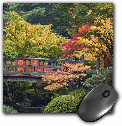 3dRose LLC 8 x 8 x 0.25 Inches Mouse Pad, Oregon Portland Wooden Bridge Japanese Garden Jaynes Gallery (mp_93669_1)...
