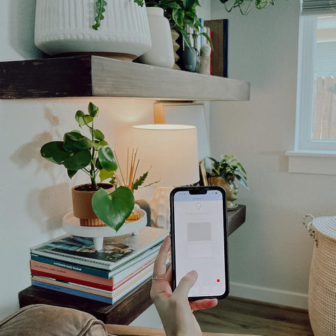 Feit Electric A1960CL/927CA/FIL/AG 60 Watt Equivalent WiFi Dimmable, No Hub Required, Alexa or Google Assistant, Filament A19 LED Smart Light Bulb...