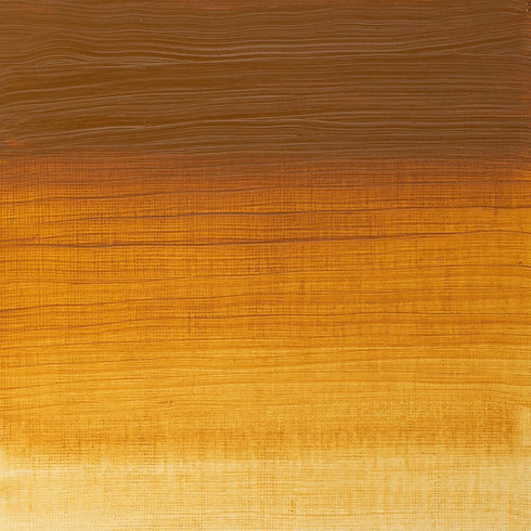 Winsor & Newton Artists' Oil Color, 37ml (1.25 oz) Tube, Raw Sienna...