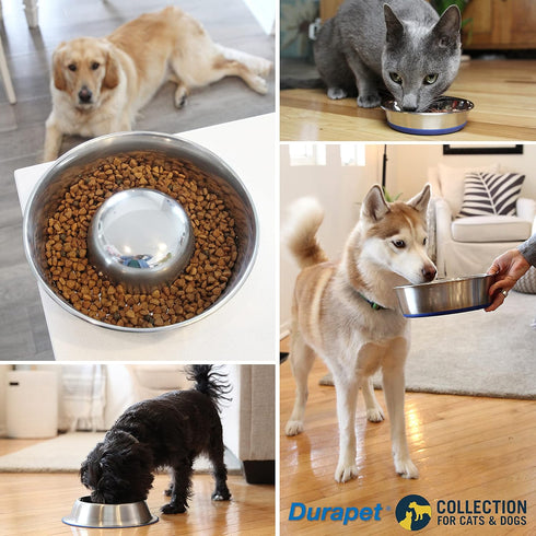 OurPets DuraPet Stainless Steel Dog Bowls, Dog Food Bowls & Dog Water Bowls (Up To 1.25 cups Great for Small Breeds)...