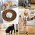 OurPets DuraPet Stainless Steel Dog Bowls, Dog Food Bowls & Dog Water Bowls (Up To 1.25 cups Great for Small Breeds)...