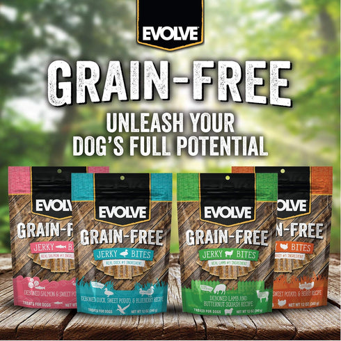 Evolve Grain Free Lamb, Sweet Potato and Butternut Squash Jerky Bites Dog Treats...