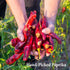 The Spice Way Paprika Powder - 8 oz paprika seasoning...