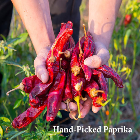 The Spice Way Smoked Paprika - pure, no additives, Non-GMO, no preservatives, no fillers. Authentically smoked with herbs.4 oz resealable bag...