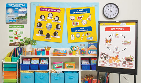 Early Science Concepts Bulletin Board...