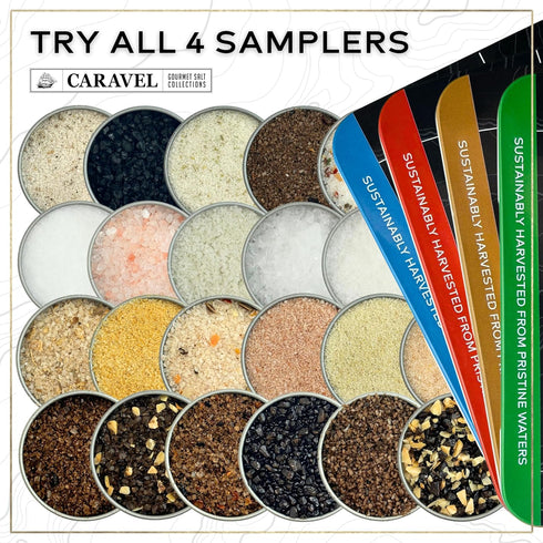 Infused Sea Salt Sampler Set, Finishing Salt for Seasoning, Gourmet Cooking Gift and Spice Variety Pack for Special Occasions, 0.5 oz x Bundle of ...