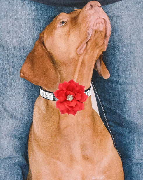 Rhinestone Dog Collar for Small Medium Dogs Black Small Dog Collar for Girl Female Dogs Flower Puppy Collar for Summer Spring Wedding Puppy Neckla...