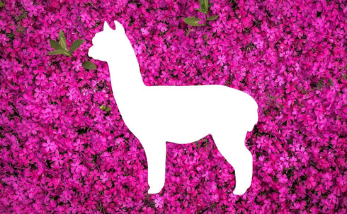 Alpaca Style Design Stencil, 4-Inch, Reusable Mylar Cutout for Sign Art, Crafts & DIY Projects...
