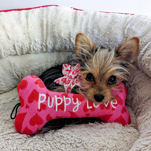 Huxley & Kent Pet Pinwheel | Kisses (Small) | Valentine's Day Velcro Collar Accessory for Dogs/Cats | Bow Collar Attachment | Cute, Comfortable Ac...
