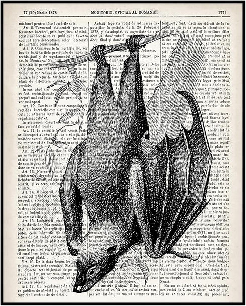 Posterizer 1 pcs-Contemporary Skulls Steampunk Gothic Art-Retro Art-Gift for Steampunk or Goth Fans-Living Room Bedroom Decor- unframed wall art...