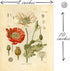Ink Inc. Botanical Prints Wildflower Prints Floral Wall Art - Set of 6-8x10 - Unframed...