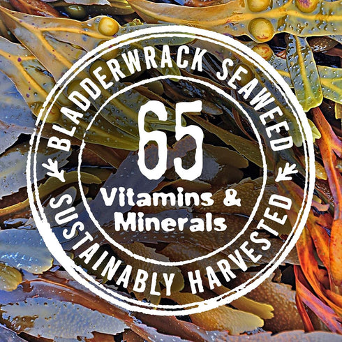 The Seaweed Bath Co. Hydrating In-Shower Body Conditioner, 8 Ounce, Coconut Water Scent, With Natural Bladderwrack Seaweed, Vegan, Paraben Free...