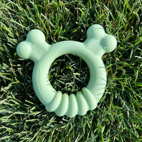Nylabone Sensory Material Puppy Chew Toy Ring - Puppy Teething Toy for Boredom & Stimulation - Puppy Supplies - Chicken Flavor, Small/Regular (1 C...