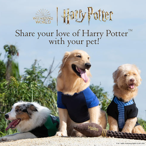 Harry Potter 10" Dark Arts Potion Burrow Toy Dog Toy Dark Arts Cauldron with Plush Removable Parts Dark Arts Cauldron, Potion, and Spider Toys for...