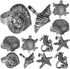 Silver Napkin Rings-12-Piece Set of Premium 100% Metal, Rust-Resistant Tabletop Décor - Antique Coastal Sea Shell Napkin Holdersfor Family Dinner,...