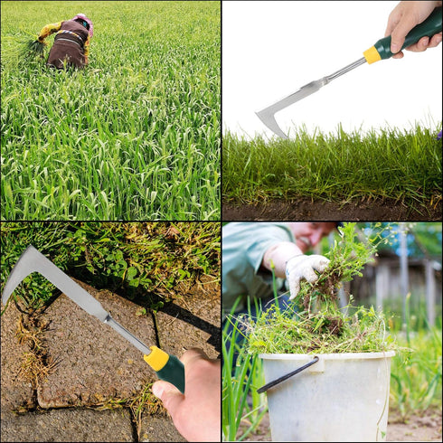 2 Pack 13" Crack Weeder Crevice Weeding Tool with Garden Gloves, Stainless Steel Manual Weeder Lawn Yard Gardening Hand Tool (L-Shape)...