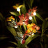 Solar Garden Lights Stake Outdoor, Swaying Butterfly Lights, Decorative Waterproof Lights, Realistic Butterflies LED Landscape Lighting for Yard P...