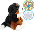 VIAHART Bastien The Bernese Mountain Dog | 13 Inch Stuffed Animal Plush | by TigerHart Toys...