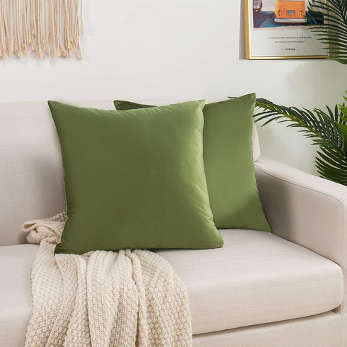 Elegant Comfort Velvet Cushion Covers Pack of 2, Velvet Soft Solid Decorative Square Throw Pillow Covers Set Cushion Case for Sofa Bedroom Car 18 ...