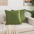 Elegant Comfort Velvet Cushion Covers Pack of 2, Velvet Soft Solid Decorative Square Throw Pillow Covers Set Cushion Case for Sofa Bedroom Car 18 ...