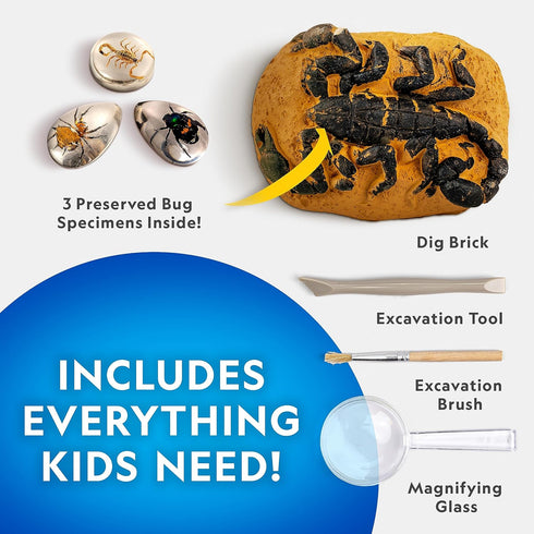 NATIONAL GEOGRAPHIC Real Bug Dig Kit - Dig up 3 Real Insects including Spider, Fortune Beetle and Scorpion - Great STEM Science Gift...