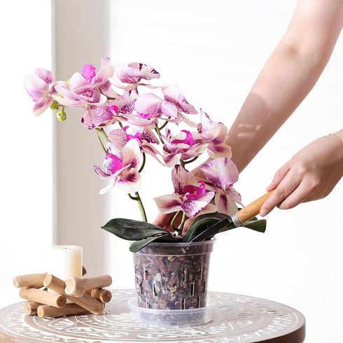 TRUEDAYS 6 Pack Orchid Pot with Saucers Garden Pot 5 Inch Clear Plastic Plant Pots with Drainage Holes for Indoor Outdoor Plants...