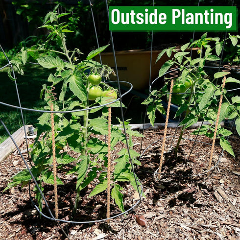 12 Pcs Electroculture Copper Gardening Antenna Long Copper Garden Stake Electroculture Plant Stake Garden Tool Coil Electronic Planting for Growin...