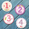 Baby Monthly Milestone Stickers for Girls by TurtleSurfers | Floral Designs with Holiday Themes Included! | All Months and First Year Including Bo...