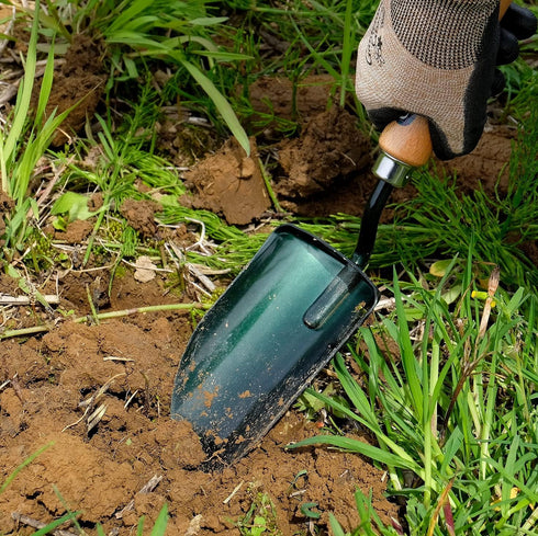 Japanese Garden Shovel Small Portable Hand Tool for Digging and Transplanting, Heavy Duty Japanese Steel Wood Handle, Made in Japan, Soil Scoop To...