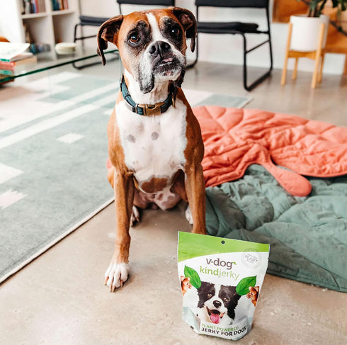 V-dog Kind Jerky - 100% Vegan Jerky Dog Treats - Plant Based Protein and Superfoods - 8 Ounce - All Natural - Made in The USA...