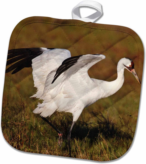 3D Rose Whooping Crane Bird-Aransas Refuge-Texas-Usa-Us44 Ldi0620-Larry Ditto Pot Holder, 8 x 8...