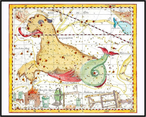 Posterizer 1 pcs-Johann Elert Bode Wallfisch-Celestial Map-Astrology & Zodiac Art-Astronomy & Celestial Art-Gift for Steampunk and Astrology Lover...