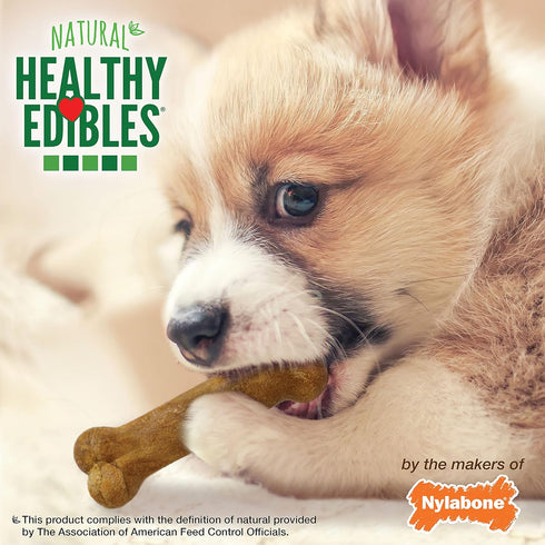 Nylabone Healthy Edibles Natural Puppy Chews Long Lasting Lamb & Apple Flavor Treats for Puppies, X-Small/Petite (8 Count)...
