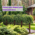 4X4(3.5in x 3.5in) Wood Fence Post Caps, PP Plastic Water-Proof UV-Proof, Keep Post from Cracking and Rotting,for Decks or Corridors,Outdoor Post ...