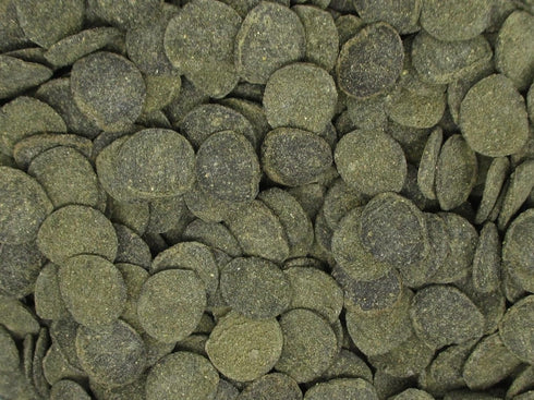 Mini Algae Discs...