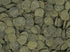 Mini Algae Discs...