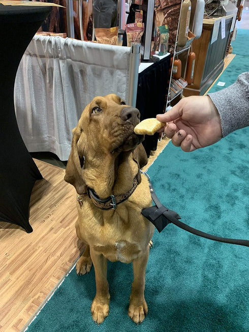 Tibetan Crunchy Cheese Puffs - Yak Dog Chew Puffs - All Natural - Healthy Reward and Training Treats for Dogs, (3.5oz Bag)...