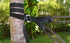 Hammock Bliss Deluxe Cinching Tree Straps - Heavy Duty & Extra Long Adjustable Tree Straps - Seat Belt Like Buckle Makes It a Cinch to Hang Your C...