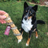 Icelandic+ Beef Collagen Dental Chew Stick Wrapped with Fish 8" Dog Treat...