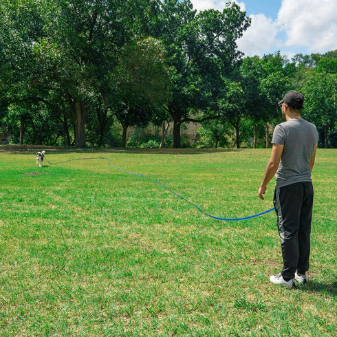 Hi Kiss Dog/Puppy Obedience Recall Training Agility Lead - 15ft 20ft 30ft 50ft 100ft Training Leash - Great for Training, Play, Camping, or Backya...