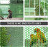 Upgraded Plastic Chicken Wire Fence Mesh - 15.7IN x 10FT- Black/Green/White Colors - Hexagonal Fencing for Gardening - Poultry Netting, Floral Net...