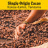Raaka Chocolate Bananas Foster 66% Cacao Dark Chocolate | Gourmet Dark Chocolate Gift | Organic, Vegan, Fair Trade, Soy Free, Non GMO, Gluten Free...