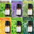 Earnest Living Tea Tree Oil Peppermint Oil Lavender Oil Essential Oil Set for Diffusers for Home Oil Diffuser Essential Oils Eucalyptus Essential ...