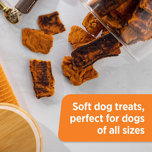 Rachael Ray Nutrish Turkey Bites Real Meat Grain Free Dog Treats, Turkey Recipe with Hickory Smoked Bacon Flavor, 12 Ounces (Packaging May Vary)...