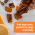 Rachael Ray Nutrish Turkey Bites Real Meat Grain Free Dog Treats, Turkey Recipe with Hickory Smoked Bacon Flavor, 12 Ounces (Packaging May Vary)...