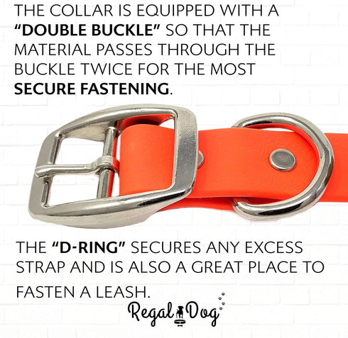 Regal Dog Products Small Orange Dog Collar with Heavy Duty Double Buckle & D Ring | Vinyl Coated, Custom Fit, Adjustable Biothane Dog Collar | Che...