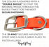 Regal Dog Products Small Orange Dog Collar with Heavy Duty Double Buckle & D Ring | Vinyl Coated, Custom Fit, Adjustable Biothane Dog Collar | Che...