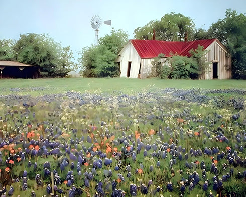 Old Barn & Flowers Field Scenery Nature Landscape Wall Decor Art Print Poster (16x20)...