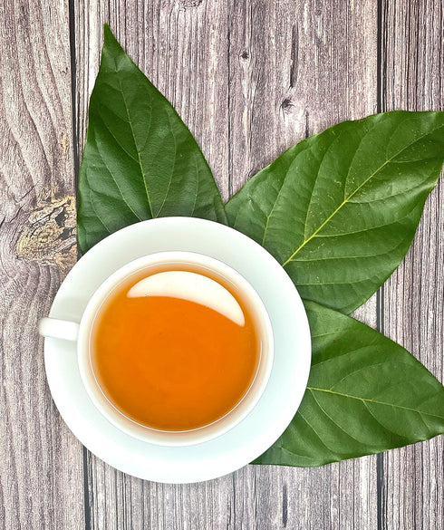 Palm Beach Medicinal Herbs - Avocado Leaf Tea - Pure Herbal Tea Series, 30ct...